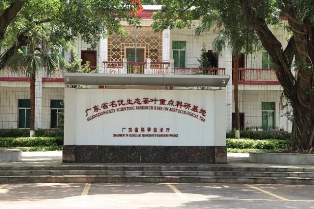 图片 4